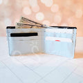 Squid Bi-fold Wallet