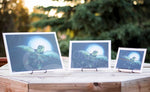 Bliss Sea Turtle Giclee Prints