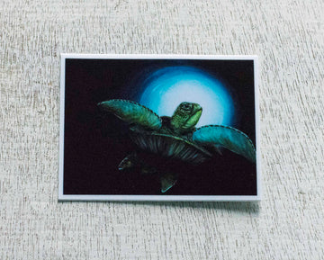 Bliss turtle stickers