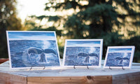 Breach Whale Giclee Prints