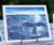 Breach Whale Giclee Prints