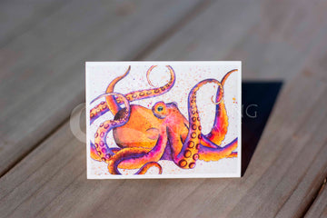 Pulpo puesta de sol octopus magnets