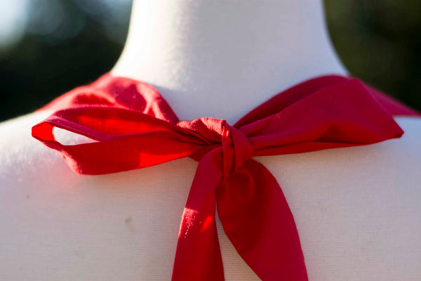 Where's Waldo Pin-up Apron