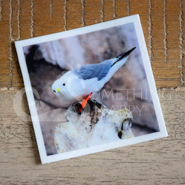 "Disgruntled Seagull" kittywake stickers