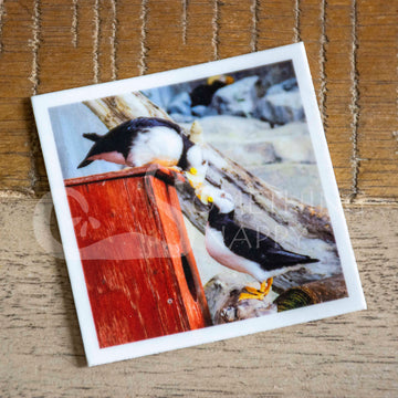"Kissing Puffins" puffin stickers