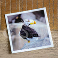 "Puffin Profile" puffin stickers