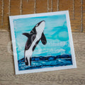 "Free" Whale stickers