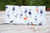 New England Seagulls Wallet