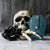 Love Me Dead Imp Wallet