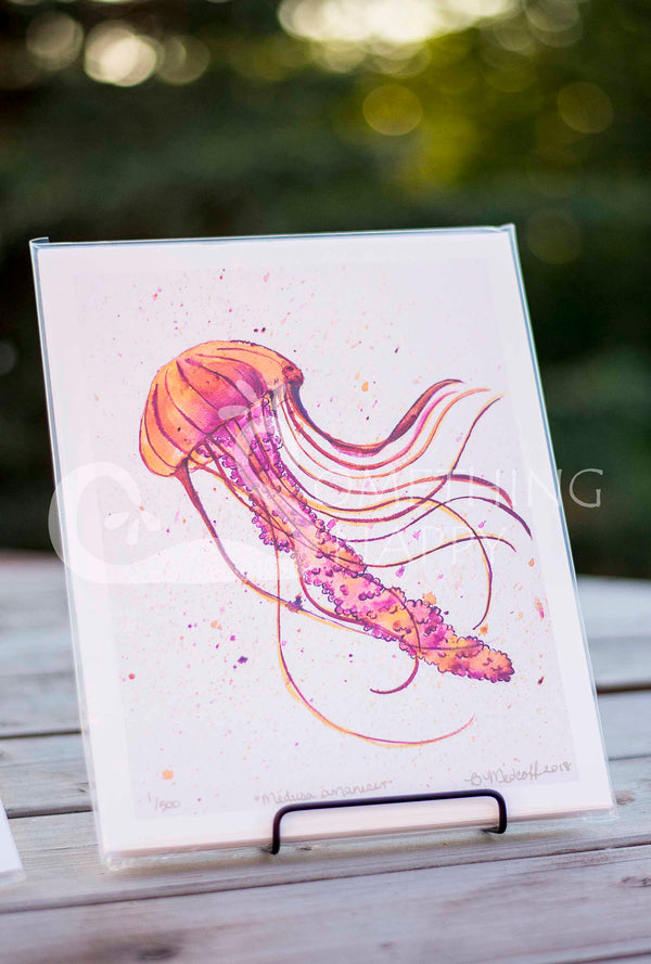 Medusa Amanacer Jellyfish Giclee Prints
