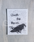 Raven stickers
