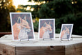 Vulpes Vulpes Somnium Fox Giclee Prints