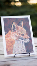 Vulpes Vulpes Somnium Fox Giclee Prints